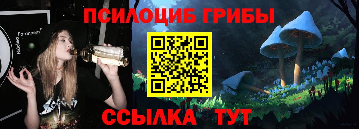 Галлюциногенные грибы Cubensis  Вход с VPN  Верхняя Пышма  Галлюциногенные грибы MAGIC MUSHROOMS 