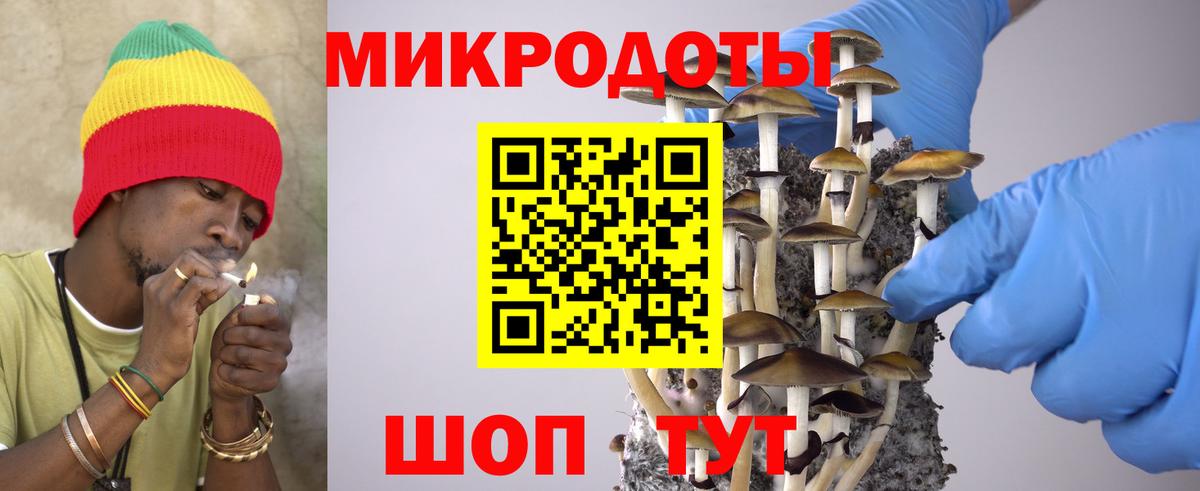 Псилоцибиновые грибы мухоморы Верхняя Пышма